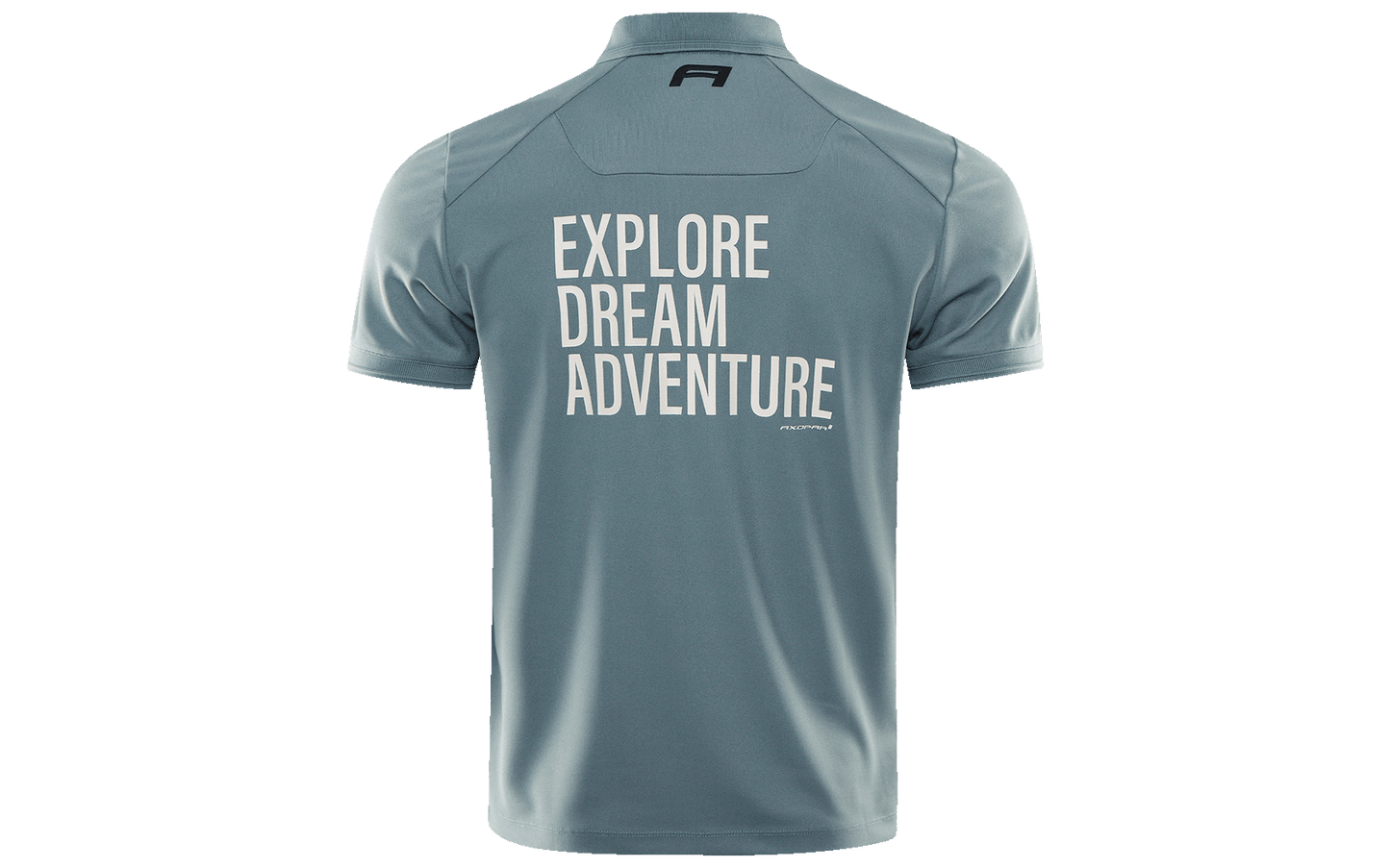 THE ADV STATEMENT POLO