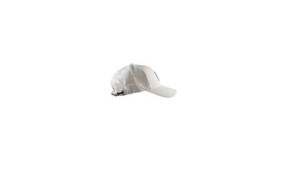 FLEET CAP