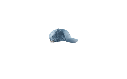 FLEET CAP