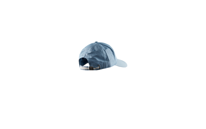 FLEET CAP